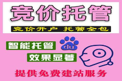 行业领先企业的信息流广告运营案例